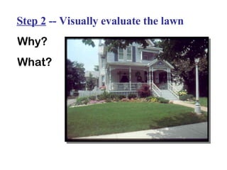 Step 2  -- Visually evaluate the lawn Why? What? 