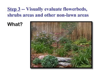 Step 3  -- Visually evaluate flowerbeds, shrubs areas and other non-lawn areas What? 