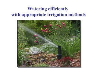 Watering efficiently  with appropriate irrigation methods 