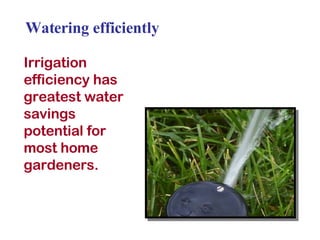 Watering efficiently Irrigation efficiency has greatest water savings potential for most home gardeners. 