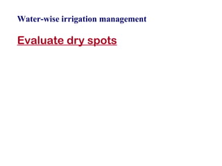 Water-wise irrigation management Evaluate dry spots 