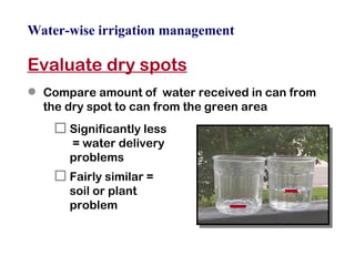 Water-wise irrigation management Evaluate dry spots Compare amount of  water received in can from the dry spot to can from the green area Significantly less  = water delivery  problems Fairly similar =  soil or plant  problem 
