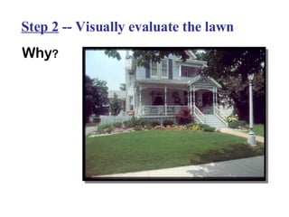 Step 2  -- Visually evaluate the lawn Why ? 