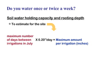 Do you water once or twice a week? Soil water holding capacity and rooting depth   To estimate for the site maximum number of days between X 0.20”/day = Maximum amount irrigations in July per irrigation (inches) 