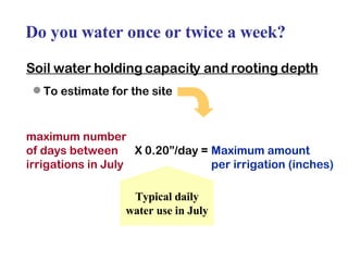 Do you water once or twice a week? Soil water holding capacity and rooting depth   To estimate for the site maximum number of days between X 0.20”/day = Maximum amount irrigations in July per irrigation (inches) Typical daily water use in July 