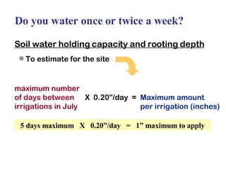 Do you water once or twice a week? Soil water holding capacity and rooting depth   To estimate for the site maximum number of days between X  0.20”/day  = Maximum amount irrigations in July per irrigation (inches) 5 days maximum  X  0.20”/day  =  1” maximum to apply 