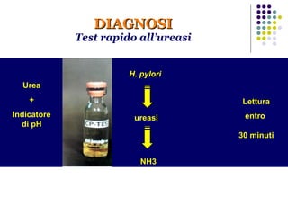 DIAGNOSI Test rapido all’ureasi Urea +  Indicatore di pH H. pylori ureasi NH3  Lettura entro  30 minuti 