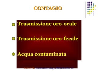 Esclusa la via aerea Esclusa la via ematica Esclusa la via sessuale CONTAGIO Cover TL.   Gastroenterology 2009;136:1863-73 Endoscopi/sondini (?) Cure dentarie (?) Animali domestici (?) Animali da macello (?) Pecore (?) Mosche (?) Scarafaggi (?) Trasmissione oro-orale Trasmissione oro-fecale Acqua contaminata 