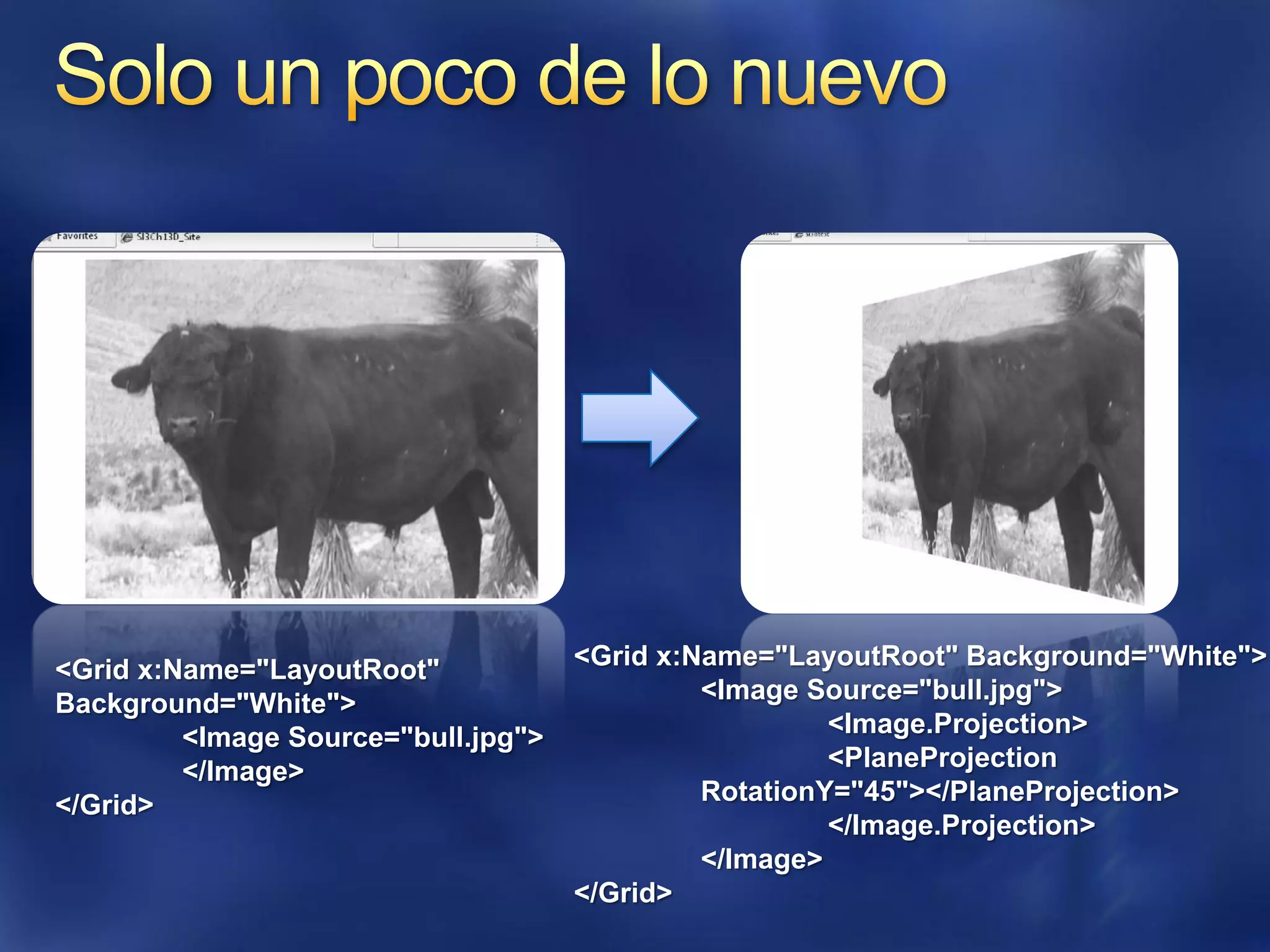 <Grid x:Name="LayoutRoot"            <Grid x:Name="LayoutRoot" Background="White">
Background="White">                           <Image Source="bull.jpg">
         <Image Source="bull.jpg">                     <Image.Projection>
         </Image>                                      <PlaneProjection
</Grid>                                       RotationY="45"></PlaneProjection>
                                                       </Image.Projection>
                                              </Image>
                                     </Grid>
 