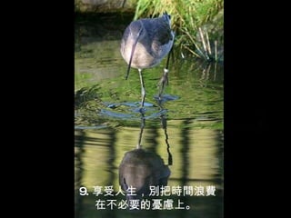 9. 享受人生，別把時間浪費 在不必要的憂慮上。  