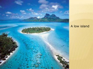 A low island
 