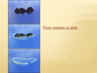 From volcano to atoll
 