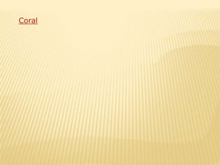 Coral
 