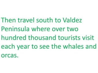 Then travel south to Valdez
Peninsula where over two
hundred thousand tourists visit
each year to see the whales and
orcas.
 