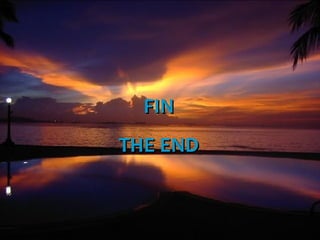 FIN
THE END
 