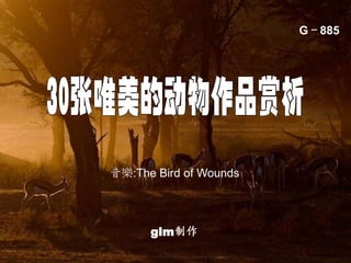 G－885




音樂:The Bird of Wounds




      glm制作
 