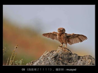 09 《我能飛了！！！！》，攝影師：muayad
 