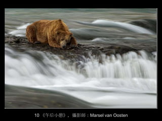 10 《午后小憩》，攝影師：Marsel van Oosten
 