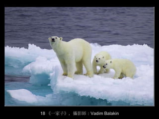 18 《一家子》，攝影師：Vadim Balakin
 