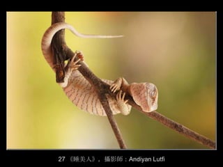 27 《睡美人》，攝影師：Andiyan Lutfi
 