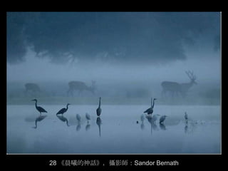 28 《晨曦的神話》，攝影師：Sandor Bernath
 