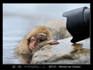 02 《哦，不~有完没完……》，攝影師：Marsel van Oosten
 