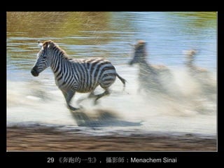 29 《奔跑的一生》，攝影師：Menachem Sinai
 