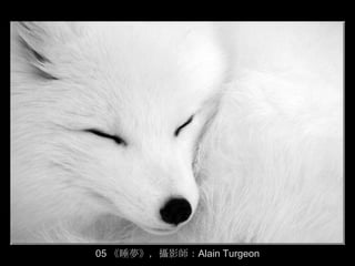 05 《睡夢》，攝影師：Alain Turgeon
 