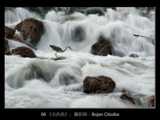 06 《去釣魚》，攝影師：Bojan Cibulka
 