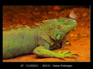 07 《危險關係》，攝影師：Hakan Pekbelgin
 