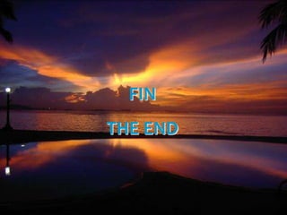 FIN
THE END
 