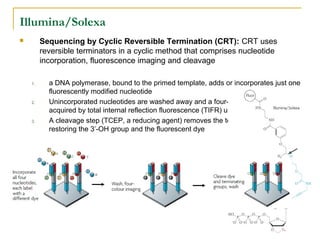 Illumina/Solexa
Sequencing by Cyclic Reversible Termination (CRT): CRT uses
reversible terminators in a cyclic method that comprises nucleotide
incorporation, fluorescence imaging and cleavage



1.

2.

3.

a DNA polymerase, bound to the primed template, adds or incorporates just one
fluorescently modified nucleotide
Unincorporated nucleotides are washed away and a four-color imaging is
acquired by total internal reflection fluorescence (TIFR) using two laser
A cleavage step (TCEP, a reducing agent) removes the terminating group
restoring the 3’-OH group and the fluorescent dye

 