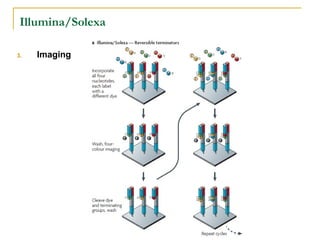 Illumina/Solexa
3.

Imaging

 