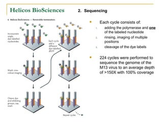 Helicos BioSciences

2. Sequencing
Each cycle consists of:


1.

2.

3.



adding the polymerase and one
of the labeled nucleotide
rinsing, imaging of multiple
positions
cleavage of the dye labels

224 cycles were performed to
sequence the genome of the
M13 virus to an average depth
of >150X with 100% coverage

 