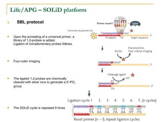 Life/APG – SOLiD platform
3.

SBL protocol



Upon the annealing of a universal primer, a
library of 1,2-probes is added.
Ligation of complementary probes follows.



Four-color imaging



The ligated 1,2-probes are chemically
cleaved with silver ions to generate a 5’-PO 4
group



The SOLiD cycle is repeated 9 times

 
