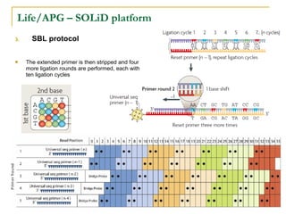 Life/APG – SOLiD platform
3.



SBL protocol
The extended primer is then stripped and four
more ligation rounds are performed, each with
ten ligation cycles

 