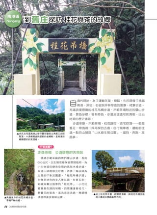 到舊庄探訪 桂花與茶的故鄉 
南港區 
▲ 余氏古宅是南港山保存最完整的土角厝三合院 
聚落，十多棟房舍與屋前的老樟樹，是南港採 
樟腦歷史的見證者。 
44 30絕美亮點任你遊 
自清代開始，為了運輸茶葉、樟腦，先民開發了橫越 
南港、深坑、石碇與坪林等處的更寮、栳寮步道。 
充滿浪漫意境的桂花吊橋步道、示範茶場附近的環山步 
道，景色多樣、各有特色，步道沿途還可見清朝、日治 
時期的歷史遺跡。 
步道串聯、示範茶場，桂花蹊徑、古宅群落……都是 
舊莊一帶值得一探再探的去處。自行開車者，還能前往 
遠一點的山豬窟「山水綠生態公園」，遛狗、奔跑、放 
風箏。 
走進茶鄉 步道環抱的古典味 
環繞示範茶廠四周的環山步道，長約 
600公尺，以生態思維保留蕨類植物，為 
小生物提供棲息空間的高架木棧步道， 
與遠山綠樹相互呼應，彷彿一幅以綠為 
主題的印象派圖畫。「桂花吊橋步道」 
則像是迷你的文人後花園，有著石刻、 
彩繪與書法造景的「桂花亭」，小巧泛 
著鵝黃色調的吊橋，四周瀰漫著桂花、 
野薑花的氣息，溪流淙淙流過，雅韻情 
境值得漫步細細品嘗。 
▲ 典雅迷你的桂花吊橋步道， 
景緻不輸他處。 
▲ 站上桂花亭平臺，視野更清晰，與桂花吊橋步道 
的小橋流水景緻截然不同。 
行家推薦1 
Nangang 
 