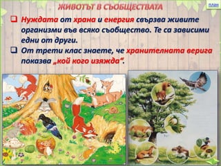 план
 Нуждата от храна и енергия свързва живите
организми във всяко съобщество. Те са зависими
едни от други.
 От трети клас знаете, че хранителната верига
показва „кой кого изяжда“.
 