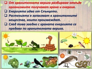  От хранителната верига разбираме откъде
организмите получават храна и енергия.
 Енергията идва от Слънцето.
 Растенията я запасяват в хранителните
вещества, които произвеждат.
 След това заедно с храната енергията се
предава по хранителната верига.
 