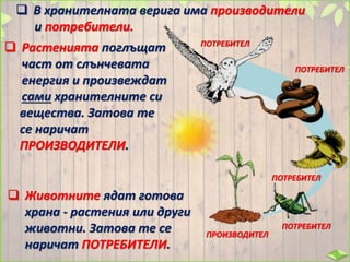  В хранителната верига има производители
и потребители.
 Растенията поглъщат
част от слънчевата
енергия и произвеждат
сами хранителните си
вещества. Затова те
се наричат
ПРОИЗВОДИТЕЛИ.
ПРОИЗВОДИТЕЛ
 Животните ядат готова
храна - растения или други
животни. Затова те се
наричат ПОТРЕБИТЕЛИ.
ПОТРЕБИТЕЛ
ПОТРЕБИТЕЛ
ПОТРЕБИТЕЛ
ПОТРЕБИТЕЛ
 