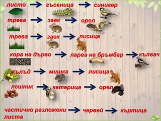 листо гъсеница синигер
трева заек орел
трева заек лисица
кора на дърво ларва на бръмбар кълвач
жълъд мишка лисица
лешник катерица орел
Червеят участва в хранителни вериги, които не започват с
живи растения, а с неживи остатъци от растения и животни,
които се намират в почвата.
частично разложени
листа
червей къртица
 