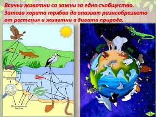Всички животни са важни за едно съобщество.
Затова хората трябва да опазват разнообразието
от растения и животни в дивата природа.
 