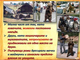  Малка част от тях, като
, живеели
.
 Други, като и
, непрекъснато
.
дресирали мечки
и маймунки и
.
 