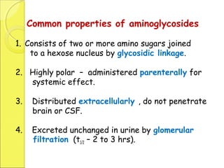 30.aminoglycosides | PPT
