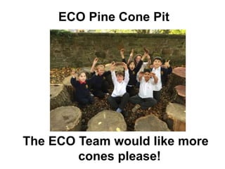 ECO Pine Cone Pit
The ECO Team would like more
cones please!
 