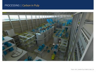 TSXV: FPC | WWW.FALCORES.COM | 35
PROCESSING | Carbon in Pulp
 