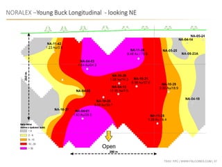 TSXV: FPC | WWW.FALCORES.COM | 37
NORALEX –Young Buck Longitudinal - looking NE
Open
 