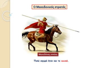 Πολύ ισχυρό ήταν και το ιππικό.
Μακεδόνας ιππέας
Ο Μακεδονικός στρατός
 