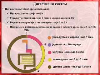 Дигестивни систем
 Пут разградње хране-временски оквир
 Пут кроз једњак траје око 8 s
 У желуцу се масти варе око 6 сати, а угљени хидрати 2 h
 Варење и апсорпција у танком цреву траје 3 до 5 h
 Припрема за избацивање несварених делова у дебелом цреву траје 5 до 72 h
 