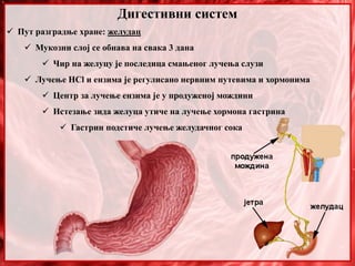 30. Sistem organa za varenje, anatomija i fiziologija | PPT
